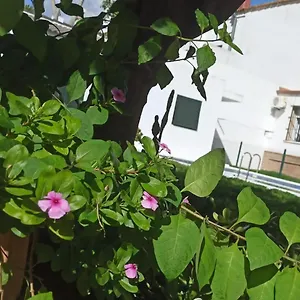 Casa Turquesa Valencina de la Concepción